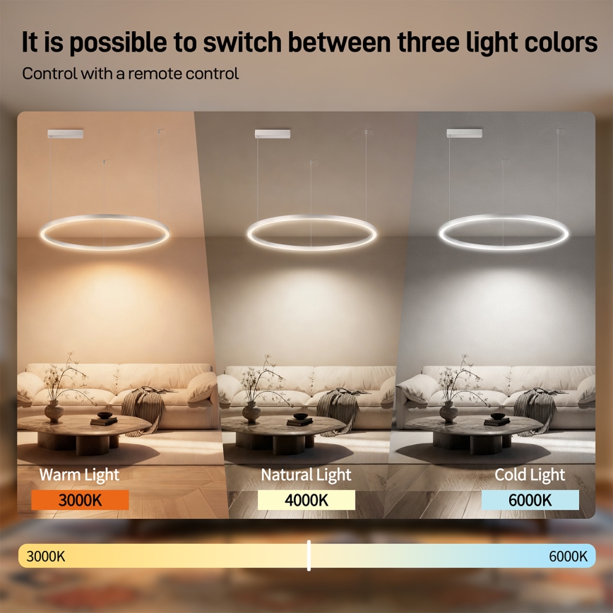 Brilagi - Lampadario LED dimmerabile su cavo PORTOFINO 60W/230V 3000-6000K Ø 80 cm argento + telecomando