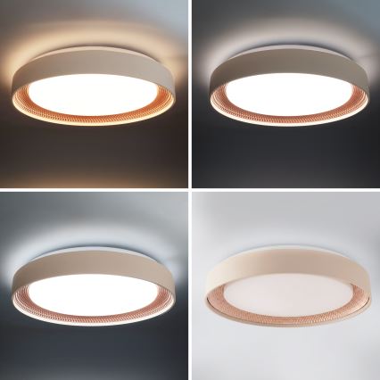 Brilagi - Plafoniera LED dimmerabile WALDO LED/48W/230V 3000-6500K Ø 40 cm beige/oro + telecomando