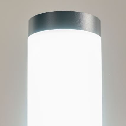BRILAGI - Lampada LED dimmerabile da esterno ELIA 1xE27/6W/230V 2700-6500K IP44 Wi-Fi 50 cm antracite