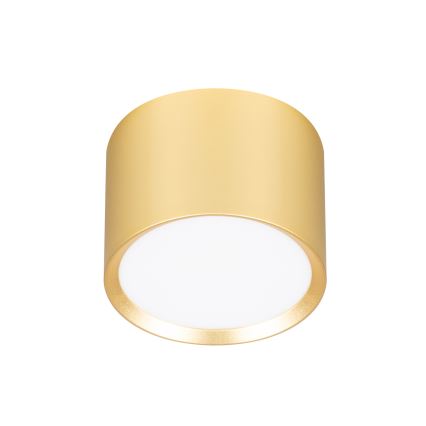 BRILAGI - LED Faretto SMOOTH 1xGX53/15W/230V 60x82 mm dorato