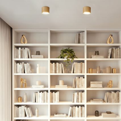 Brilagi - LED Faretto STRIPY 1xGX53/15W/230V dorato