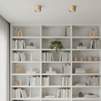 Brilagi - LED Faretto STRIPY 1xGX53/15W/230V dorato