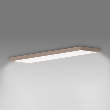 BRILAGI-LED FRAME Lampada da soffitto per bagno LED/50W/230V 120x30 cm IP44 Beige