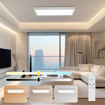 Brilagi - LED Lampada da soffitto dimmerabile FRAME SMART LED/30W/230V 30x60 cm 3000-6000K IP44 bianca + telecomando