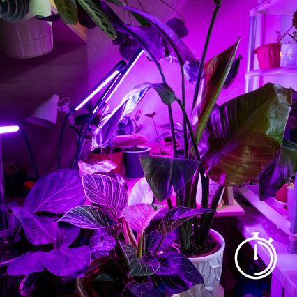 Brilagi - LED Dimmerabile flessibile lampada da tavolo con clip per la coltivazione di piante VITABLOOM 3xLED/10W/230V nero