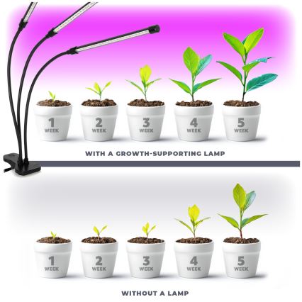 Brilagi - LED Dimmerabile flessibile lampada da tavolo con clip per la coltivazione di piante VITABLOOM 3xLED/10W/230V nero