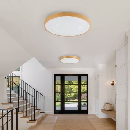 Brilagi - Plafoniera dimmerabile a LED GLASS POOL DOUBLE LED/80W/230V 3000-6000K 60 cm finitura effetto legno + telecomando