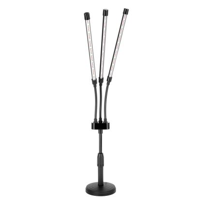 Brilagi - LED Dimmerabile flessibile lampada da tavolo per la coltivazione di piante VITABLOOM 3xLED/10W/230V nero