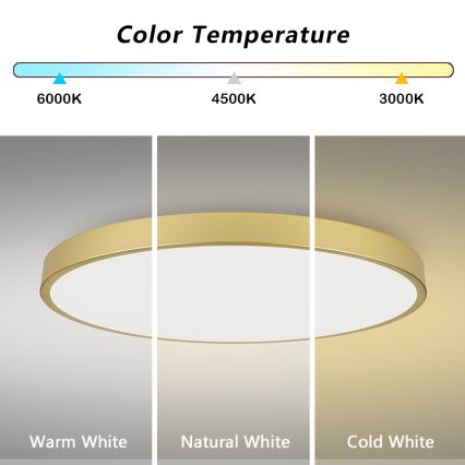 Brilagi - Plafoniera LED dimmerabile POOL SMART LED/180W/230V 3000-6000K 120 cm dorata Wi-Fi Tuya + telecomando