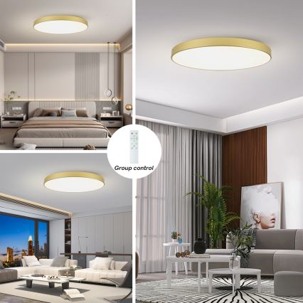 Brilagi - Plafoniera LED dimmerabile POOL SMART LED/180W/230V 3000-6000K 120 cm dorata Wi-Fi Tuya + telecomando