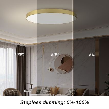 Brilagi - Plafoniera LED dimmerabile POOL SMART LED/180W/230V 3000-6000K 120 cm dorata Wi-Fi Tuya + telecomando