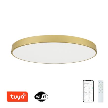 Brilagi - Plafoniera LED dimmerabile POOL SMART LED/180W/230V 3000-6000K 120 cm dorata Wi-Fi Tuya + telecomando