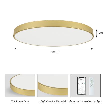 Brilagi - Plafoniera LED dimmerabile POOL SMART LED/180W/230V 3000-6000K 120 cm dorata Wi-Fi Tuya + telecomando