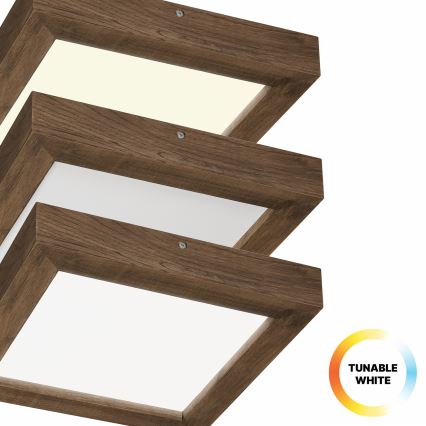 Brilagi - Lampada da soffitto dimmerabile per bagno WOODY FRAME LED/24W/230V rovere noce 30x30 cm 3000-6000K IP44 + telecomando