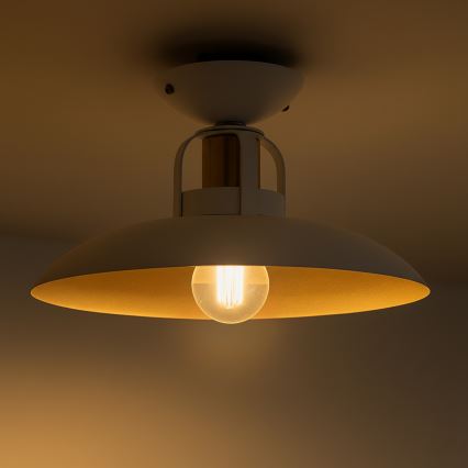 Brilagi - LED Lampadario a plafone FLAMENGO 1xE27/60W/230V bianco