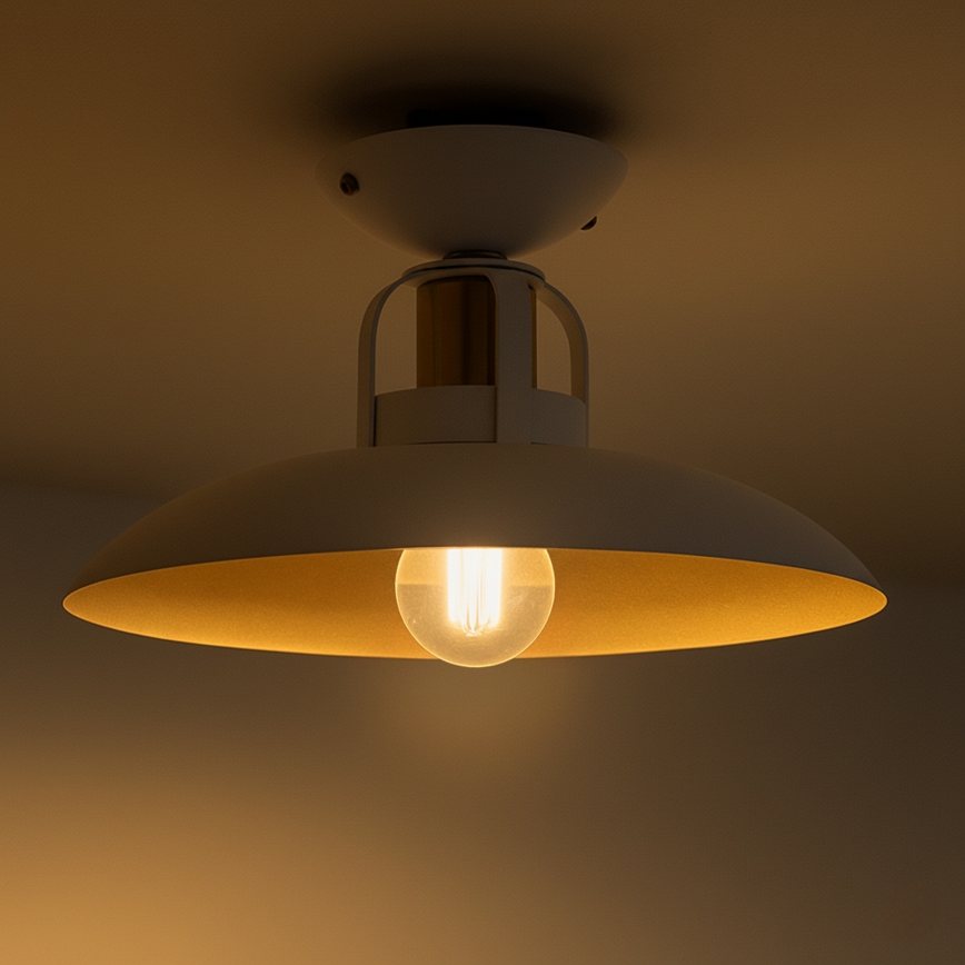 Brilagi - LED Lampadario a plafone FLAMENGO 1xE27/60W/230V bianco