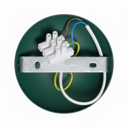 Brilagi - LED Lampadario a plafone FLAMENGO 1xE27/60W/230V verde