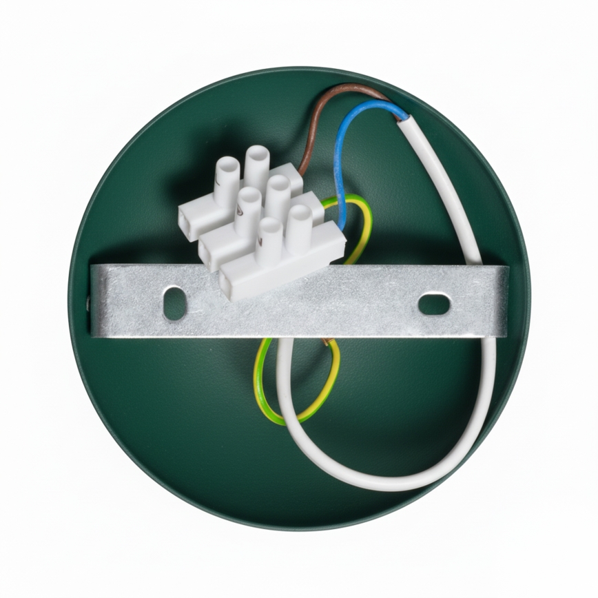 Brilagi - LED Lampadario a plafone FLAMENGO 1xE27/60W/230V verde