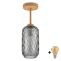 BRILAGI - LED Lampadario a soffitto RETRO GLASS 1xE27/60W/230V ø 14 cm beige/grigio fumé