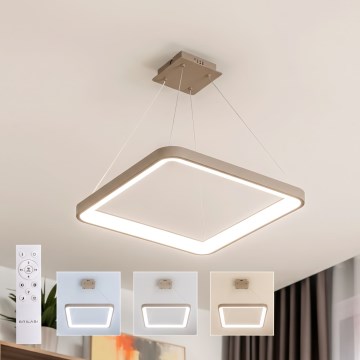 BRILAGI - LED Lampadario dimmerabile a cavo FALCON SLIM LED/50W/230V 3000-6500K 50x50 cm beige + telecomando