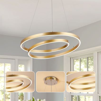 Brilagi - Lampadario LED dimmerabile a cavo TWISTER LED/48W/230V 3000-6000K Ø 50 cm oro + telecomando