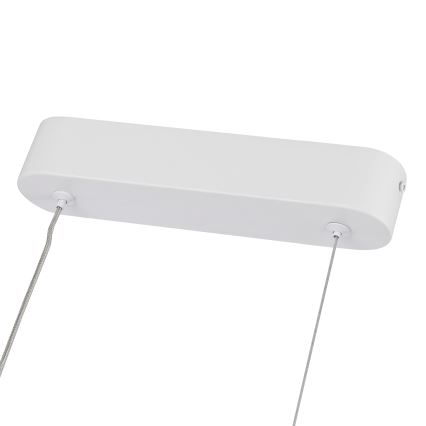 Brilagi - Lampadario LED dimmerabile su cavo TWISTER LED/60W/230V 3000-6000K bianco + telecomando