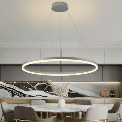 Brilagi - Lampadario LED dimmerabile a sospensione con cavo CIRCLE LED/55W/230V 3000-6500K Ø 80 cm argento + telecomando
