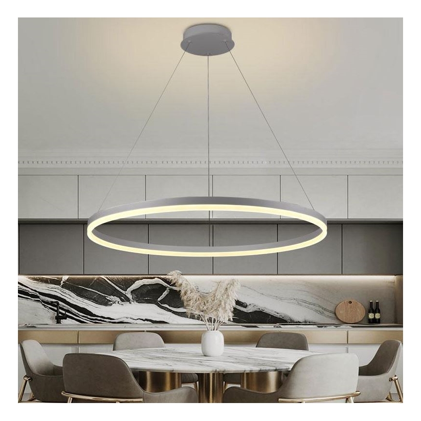 Brilagi - Lampadario LED dimmerabile a sospensione con cavo CIRCLE LED/55W/230V 3000-6500K Ø 80 cm argento + telecomando