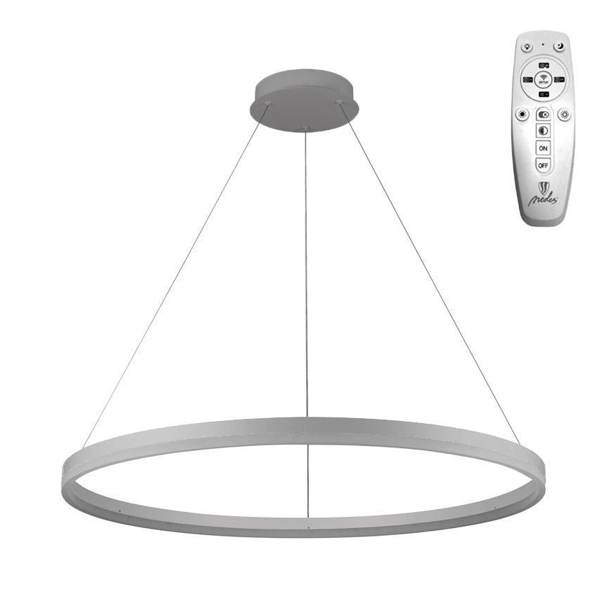 Brilagi - Lampadario LED dimmerabile a sospensione con cavo CIRCLE LED/55W/230V 3000-6500K Ø 80 cm argento + telecomando
