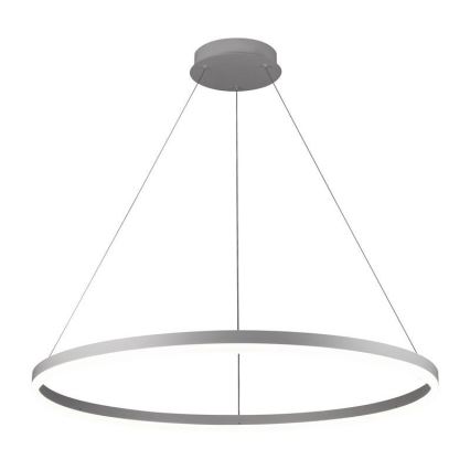 Brilagi - Lampadario LED dimmerabile a sospensione con cavo CIRCLE LED/55W/230V 3000-6500K Ø 80 cm argento + telecomando
