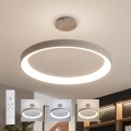 BRILAGI - LED lampadario dimmerabile su cavo FALCON II LED/108W/230V 3000-6500K Ø 80 cm beige + telecomando