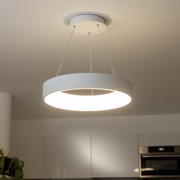 Brilagi - LED Lampadario dimmerabile su cavo FALCON LED/80W/230V 3000-6500K Ø 60 cm bianco + telecomando