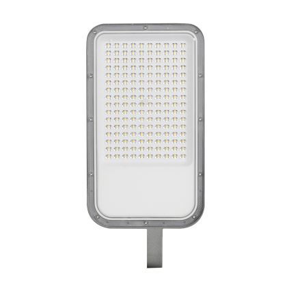 Brilagi - Lampione stradale LED da esterno con snodo URBANLIGHT LED/100W/230V grigio IP65