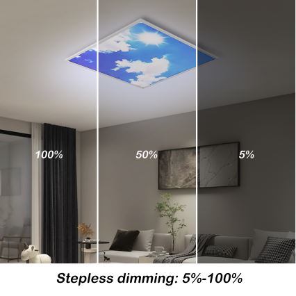 Brilagi - Plafoniera LED dimmerabile SLIMFRAME SKY LED/58W/230V 60x60 cm 3000-6000K argento/blu + telecomando
