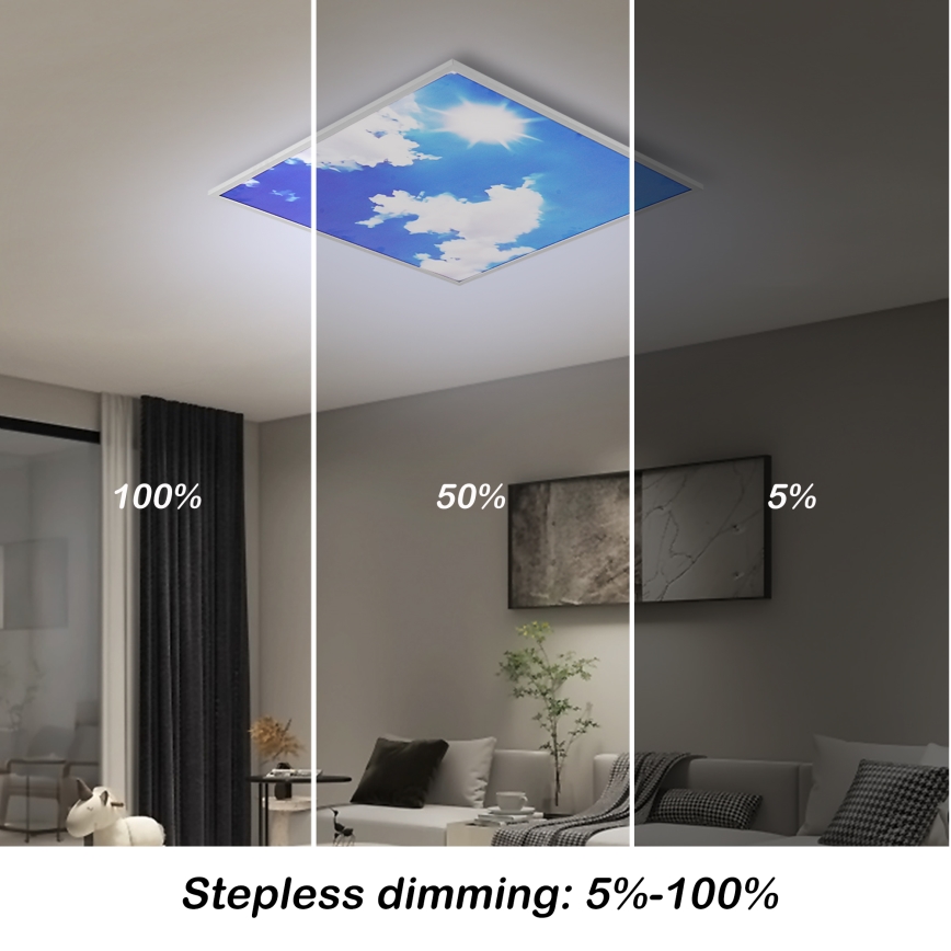 Brilagi - Plafoniera LED dimmerabile SLIMFRAME SKY LED/58W/230V 60x60 cm 3000-6000K argento/blu + telecomando
