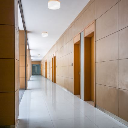 Brilagi - LED Plafoniera BELLADONNA 2xE27/15W/230V bianco/pino