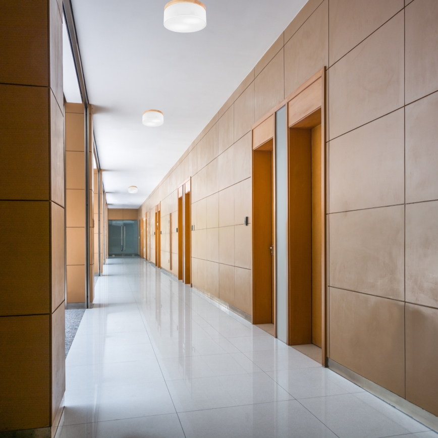 Brilagi - LED Plafoniera BELLADONNA 2xE27/15W/230V bianco/pino