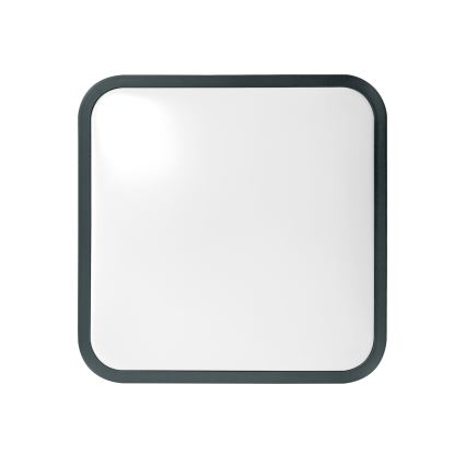 Brilagi - Plafoniera da bagno LED con sensore ZENNA LED/24W/230V 34,5x34,5 cm IP44 antracite + telecomando