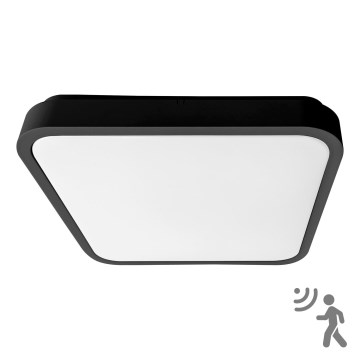 BRILAGI - LED plafoniera da bagno con sensore ZENNA LED/36W/230V 41,5x41,5 cm IP44 nero + telecomando