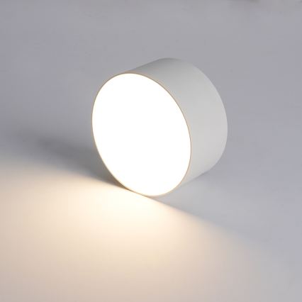 BRILAGI - LED Plafoniera da esterno FORIS LED/14W/230V Ø 12 cm bianca IP44