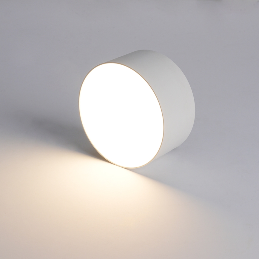 BRILAGI - LED Plafoniera da esterno FORIS LED/14W/230V Ø 12 cm bianca IP44