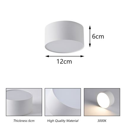 BRILAGI - LED Plafoniera da esterno FORIS LED/14W/230V Ø 12 cm bianca IP44