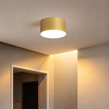 BRILAGI - Plafoniera da esterno LED FORIS LED/14W/230V Ø 12 cm dorata IP44
