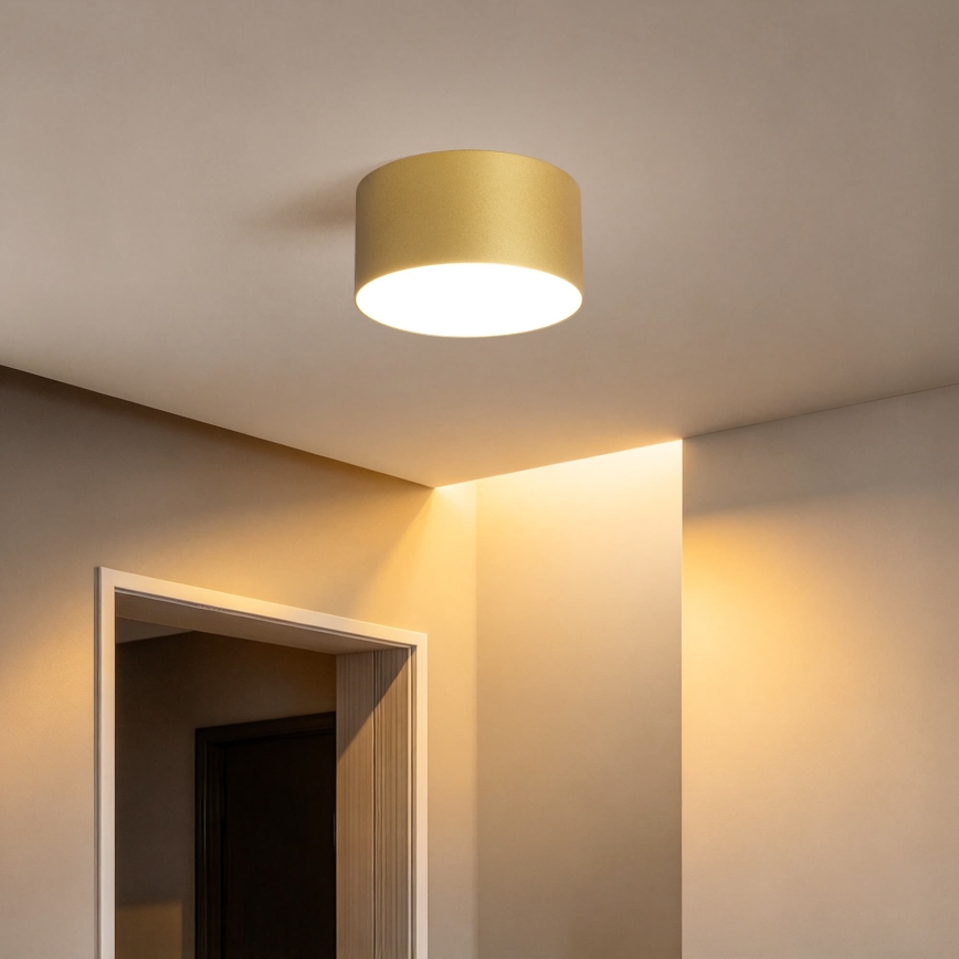 BRILAGI - Plafoniera da esterno LED FORIS LED/14W/230V Ø 12 cm dorata IP44