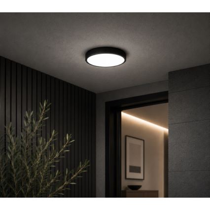 BRILAGI - Plafoniera da bagno LED ZENNA LED/12W/230V Ø 25 cm IP44 nera