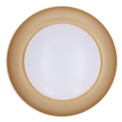 Brilagi - Plafoniera LED dimmerabile ALVA LED/48W/230V 3000-6500K diametro 51 cm bianca + telecomando