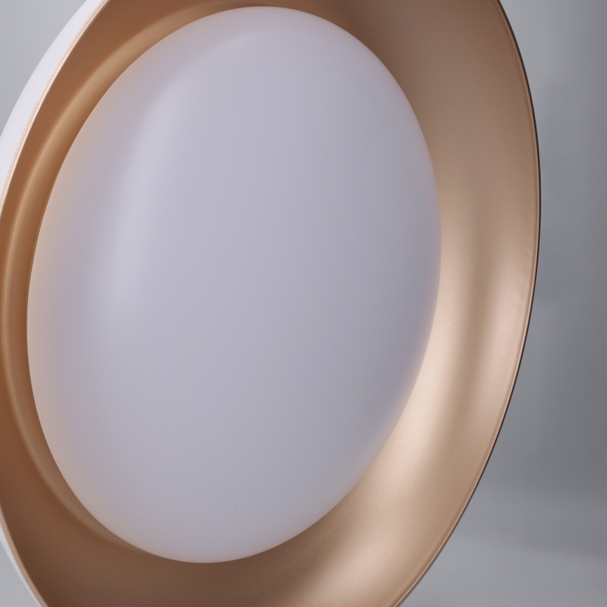 Brilagi - Plafoniera LED dimmerabile ALVA LED/48W/230V 3000-6500K diametro 51 cm bianca + telecomando