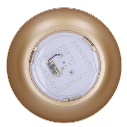 Brilagi - Plafoniera da soffitto dimmerabile ALVA LED/48W/230V 3000-6500K Ø 51 cm nera + telecomando