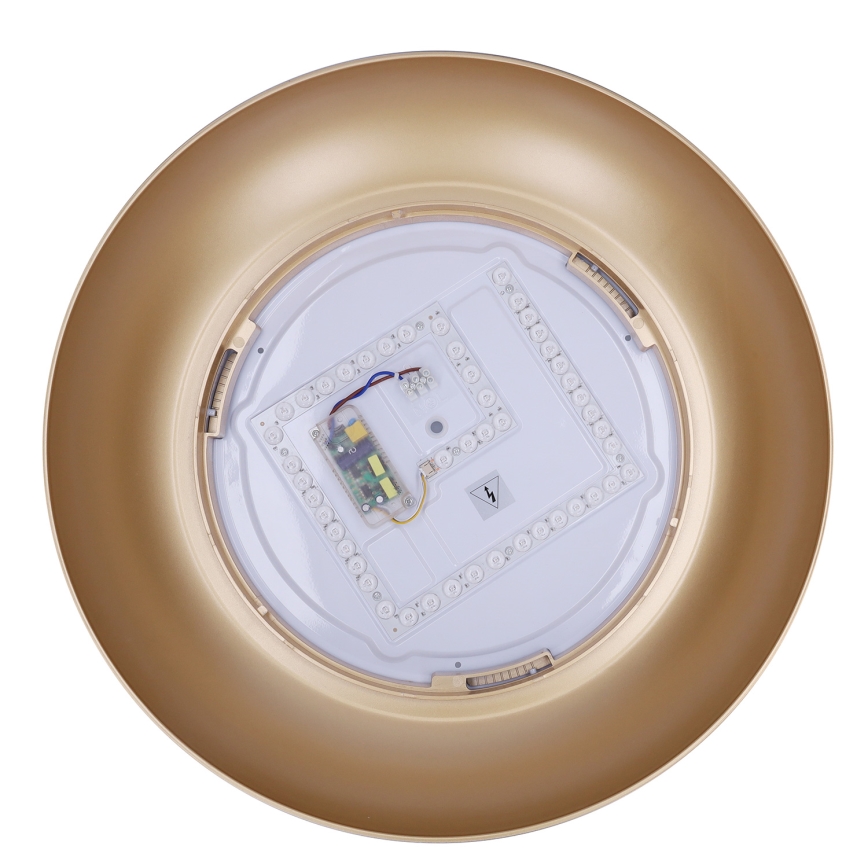 Brilagi - Plafoniera da soffitto dimmerabile ALVA LED/48W/230V 3000-6500K Ø 51 cm nera + telecomando