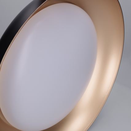 Brilagi - Plafoniera da soffitto dimmerabile ALVA LED/48W/230V 3000-6500K Ø 51 cm nera + telecomando